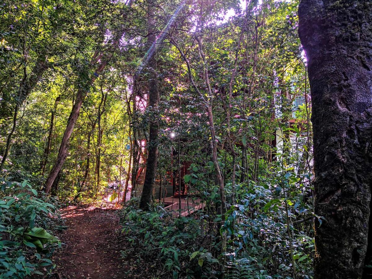 Quality Cabins Monteverde ภายนอก รูปภาพ