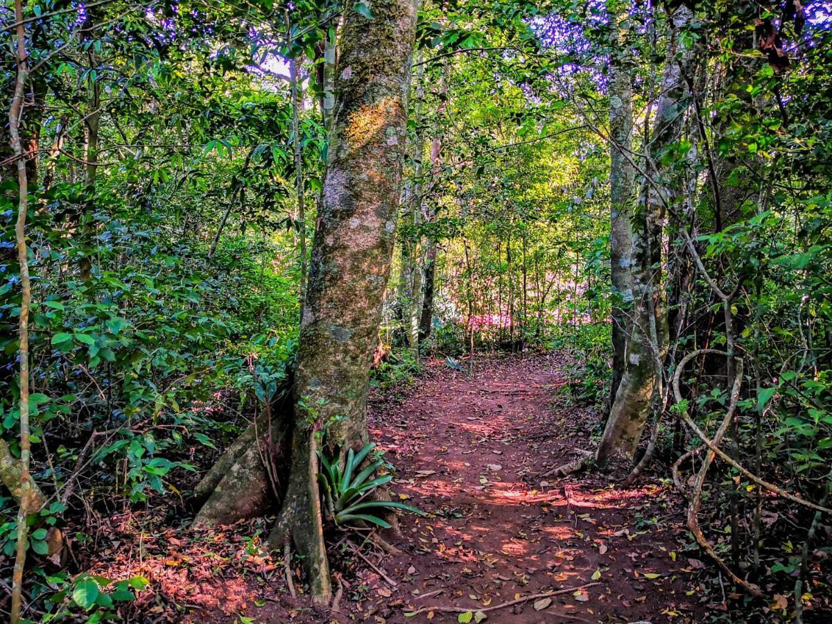 Quality Cabins Monteverde ภายนอก รูปภาพ