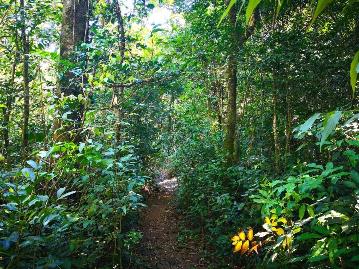 Quality Cabins Monteverde ภายนอก รูปภาพ